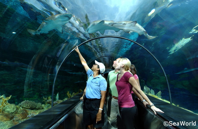 seaworld-tunnel-1