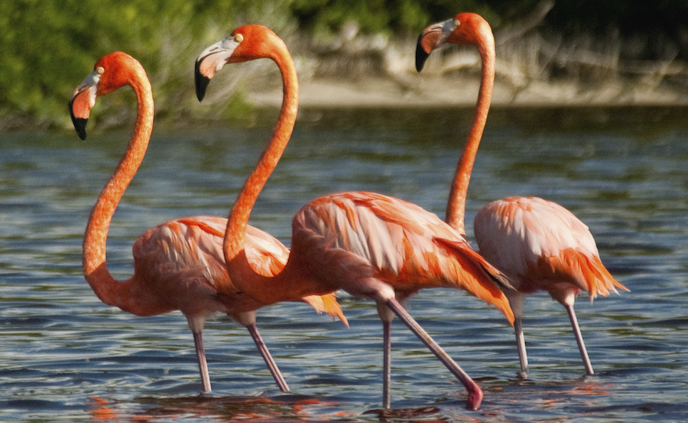 screen_shot_2015-07-12_at_15