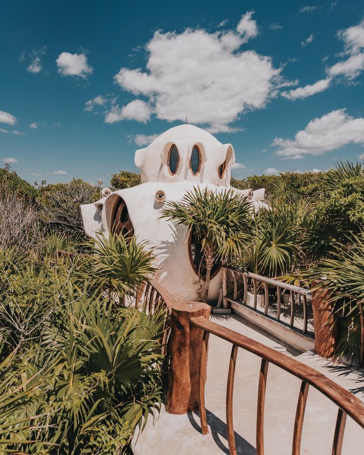 papayaplayaproject12